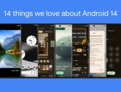 Android 14 New Features: A Comprehensive Overview